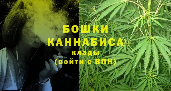 синтетический гашиш Заводоуковск