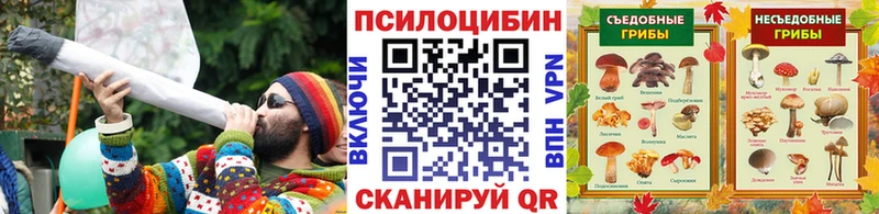 Купить где  Лакинск  Галлюциногенные грибы прущие грибы 